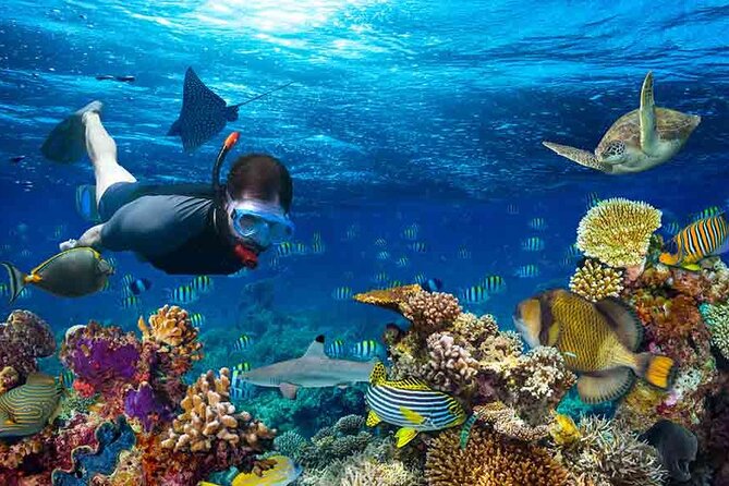 Boatride & Snorkeling then Margaritaville Hipstrip Activity - Why the guides matter more than the boat