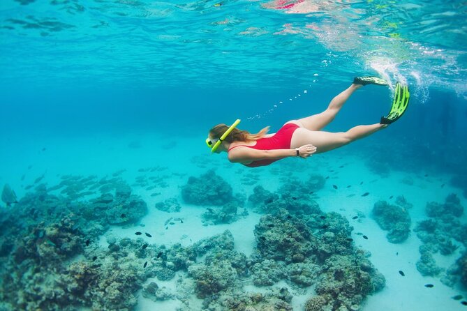 Boatride & Snorkeling then Margaritaville Hipstrip Activity - From salt water to Margaritaville on the Hip Strip