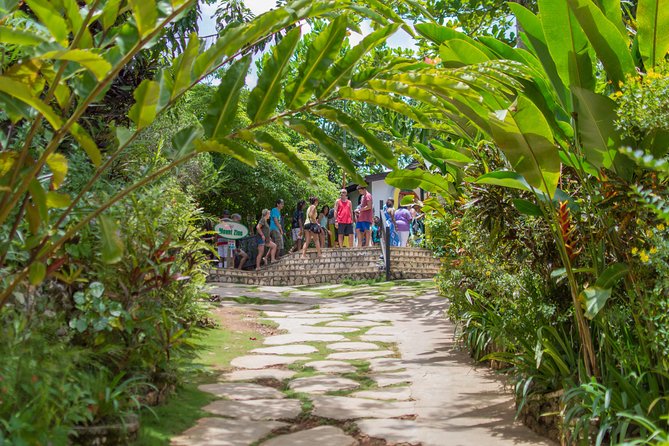 Bob Marley 9 Mile Tour Admission - Music, atmosphere, and the social side of the visit
