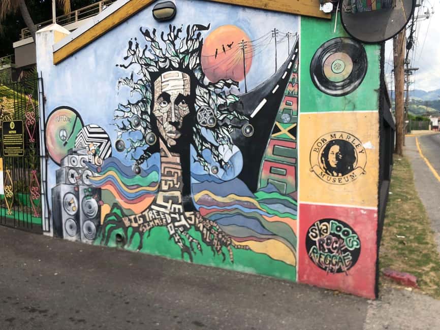Bob marley 9 Miles & Dunns River Tour from Ocho Rios - Who will enjoy this private combination tour