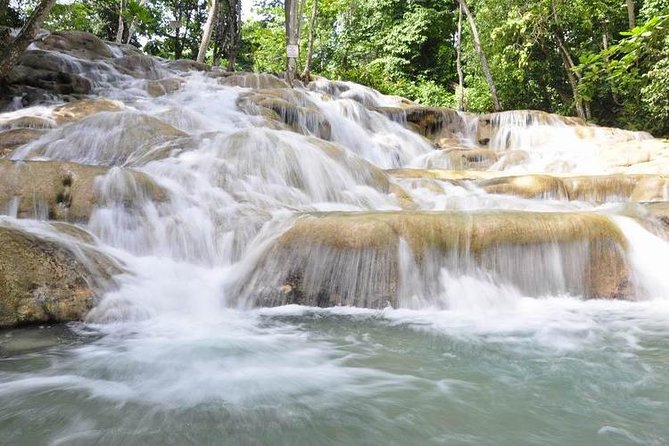Bob Marley Nine Mile and Dunns River Combo from Ocho Rios - Key points to know before booking