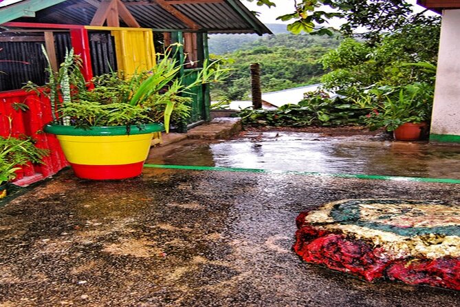 Bob Marley Nine Mile and Dunns River Combo from Ocho Rios - The road from Ocho Rios to Nine Mile