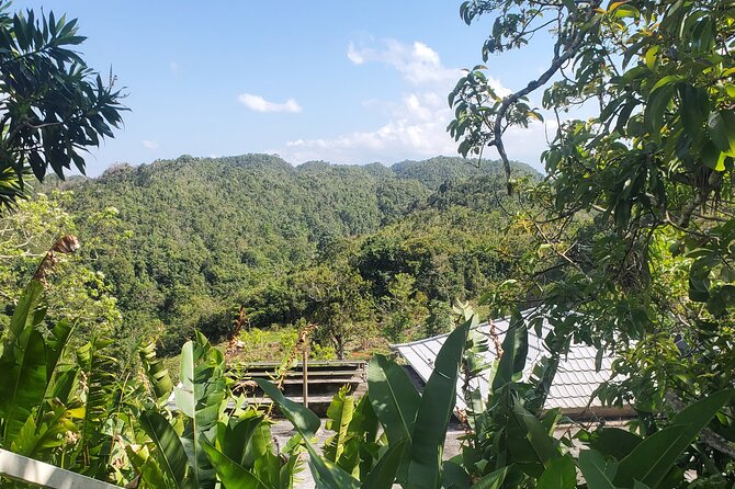 Bob Marley Nine Mile Home Private Tour from Montego Bay - Is $190 per person a fair price?