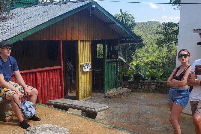 Bob Marley Nine Mile Home Private Tour from Montego Bay - Who will enjoy this private Nine Mile trip