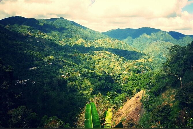 Bob Marley Nine Mile Home Private Tour from Montego Bay - The mountain road from Montego Bay to Nine Mile