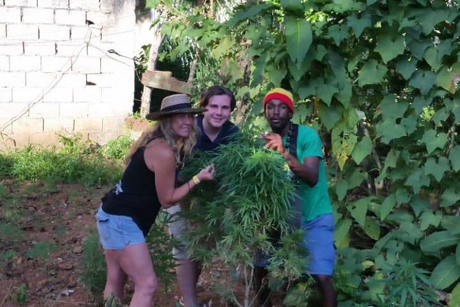 Bob Marley's Nine Mile & Dunns River Falls Tour: Transportation & Ticket - Dunn’s River Falls for the active half of the day