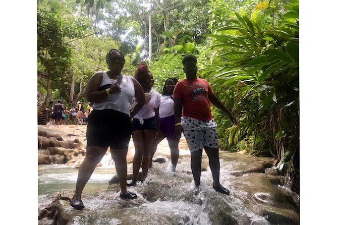 Bob Marley's Nine Mile & Dunns River Falls Tour: Transportation & Ticket - Who should book this excursion?
