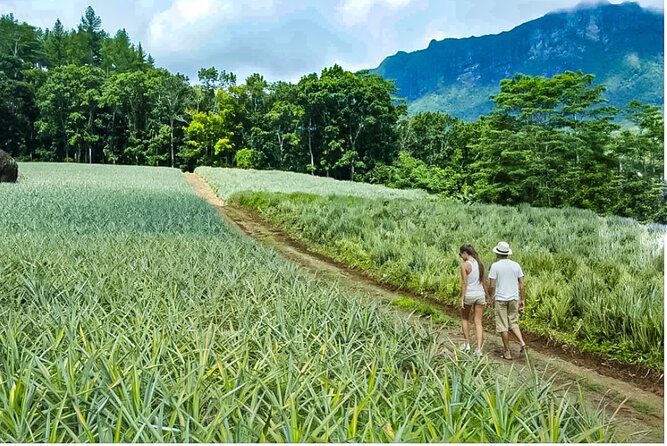 Bush Hiking to explore Wild Plants & Fresh Fruits,Montego Bay - Who will enjoy this Montego Bay hike