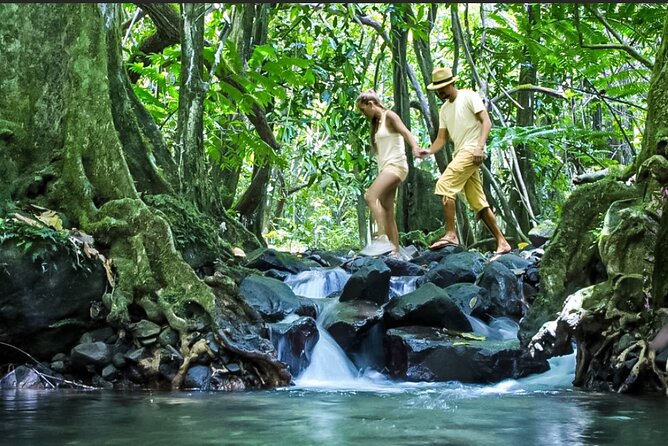 Bush Hiking to explore Wild Plants & Fresh Fruits,Montego Bay - Practical advice before you book