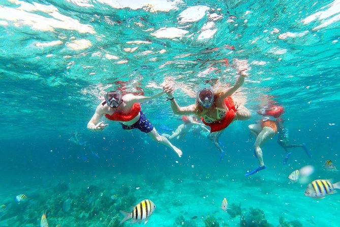 Catamaran Cruise Full Day Tour to Reef, Caves and Negril Beach - Rick’s Cafe at sunset