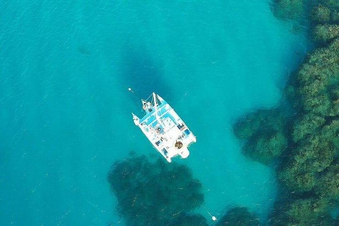 Catamaran, snorkeling & Dunn's River Falls - Key points to know before booking