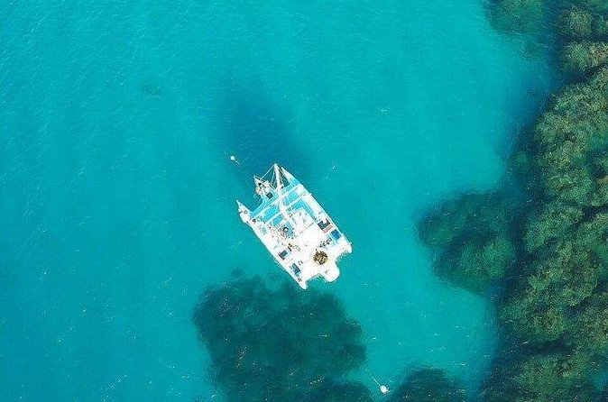 Catamaran, snorkeling & Dunn's River Falls - Who will enjoy this day most