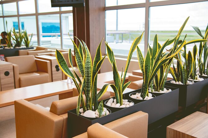 Club Mobay Sangster Airport VIP Lounge with Priority Entry - Departure lounge: the best use for a long airport wait