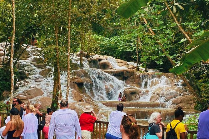 Combo Tour Dunn's River Falls and BlueTour from falmouth - Key points before you book
