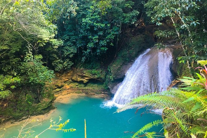 Combo Tour Dunn's River Falls and BlueTour from falmouth - Jerk lunch, cash, and what the $180 price covers