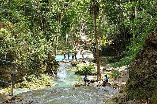 Combo Tour Dunn's River Falls and BlueTour from falmouth - What the strongest service details tell you