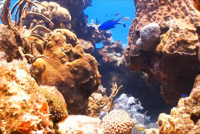 Customize Snorkeling with Option shopping Lunch & Stop local food - Hotel pickup and the ride to the water