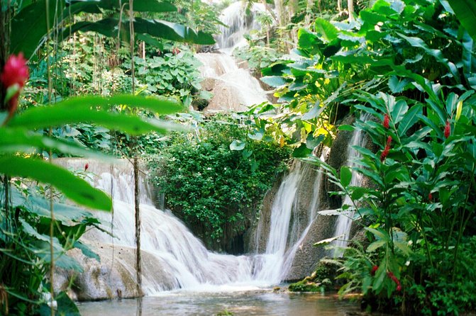 Day Trip to Bob Marley's Nine Mile and Dunn's River Falls from Falmouth - The guide can shape the whole day