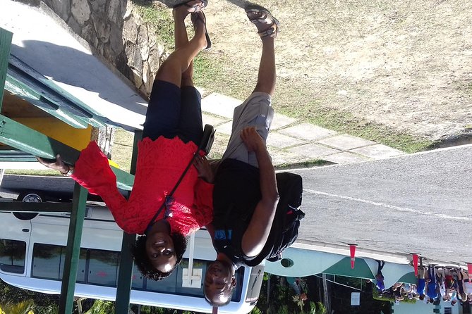 Day Trip to Dunn's River Falls from Montego Bay - Who will enjoy this three-hour outing