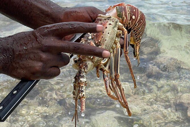 Day Trip to Negril from Montego Bay/Boat Ride to Booby Cay Island/Lobster Lunch - From Montego Bay to Negril by air-conditioned van