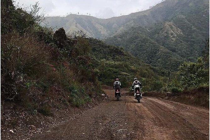 Dirt Bike Tours - Blue Mountain views and open-air stops