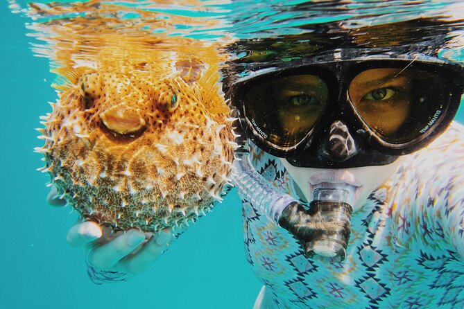 Discover Scuba Diving in Montego Bay-ONE Tank (First time Diving) - Learning the equipment before entering open water