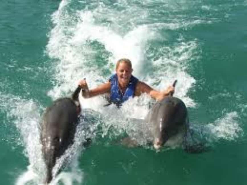 Dolphin Swim Adventure - Meeting the dolphins at Dolphin Cove