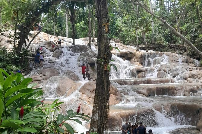 Dunn River Falls and Bamboo River Rafting in Ocho Rios Jamaica. - Who will enjoy this Ocho Rios tour most?