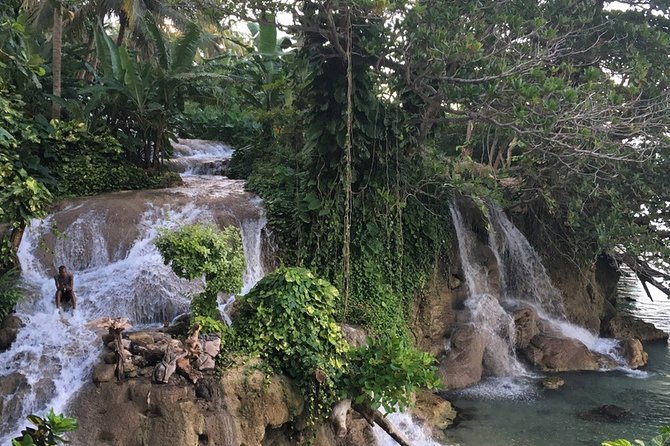 Dunn's Falls and Blue Hole Daytrip with Lunch from Montego Bay & Trelawny - Who will enjoy this tour most