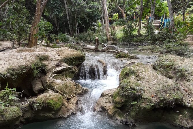 Dunn's Falls and Blue Hole Daytrip with Lunch from Montego Bay & Trelawny - Practical preparation for a smoother day