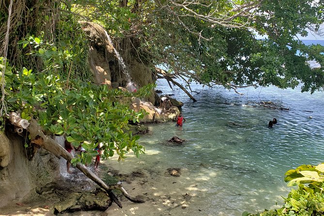 Dunn's Falls and Blue Hole Daytrip with Lunch from Montego Bay & Trelawny - Should you book the Dunn’s River and Blue Hole trip?