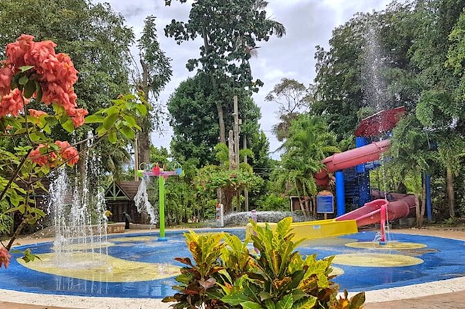 Dunn's River Fall's - Who will enjoy this outing most