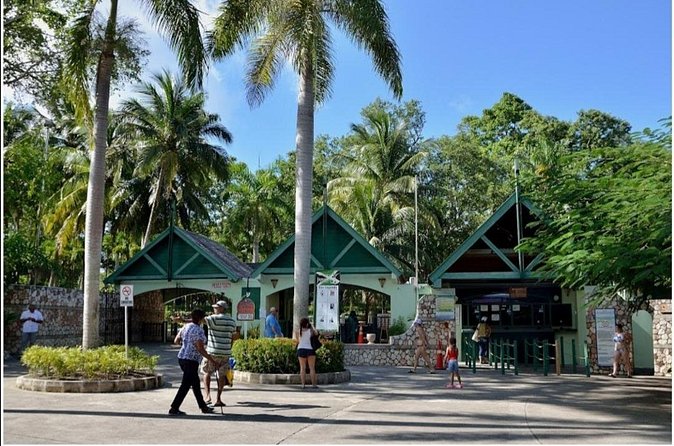 Dunn's River Fall's - Booking, cancellation, and timing details