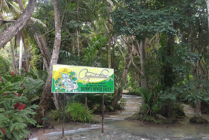 Dunn's River Falls and Beach From Ocho Rios Jamaica - What the guides add to the outing