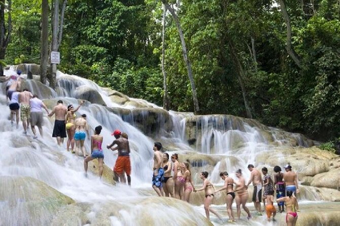 Dunn's River Falls and Horse Back Riding Excursion - Forty-five minutes on horseback in St. Ann’s Bay
