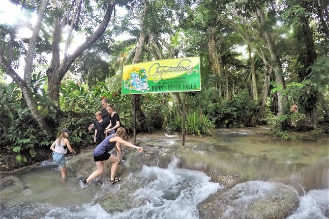 Dunn's River Falls and Ocho Rios Shopping Tour from Montego Bay Hotels - Ocho Rios shopping: useful, but keep it brief