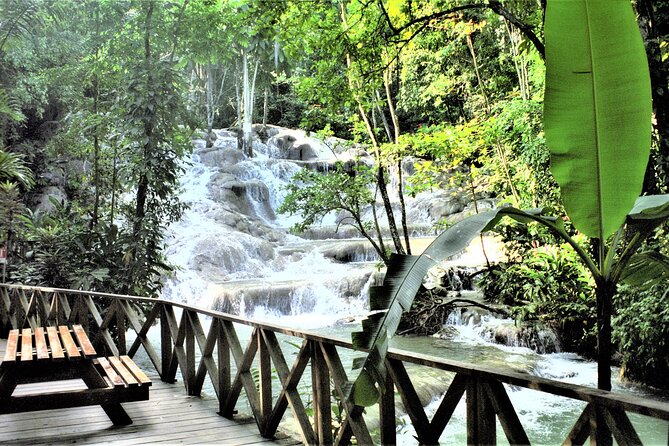 Dunn's River Falls and Ocho Rios Shopping Tour from Runaway Bay - Is $135 a fair price?