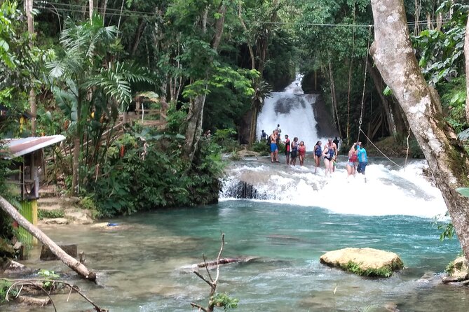 Dunn's River Falls & Blue Hole from Montego Bay or Falmouth - Who should book this experience