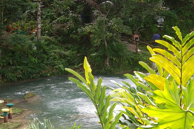 Dunn's River Falls & Blue Hole Tour from Montego Bay - The $120 price needs a careful calculation