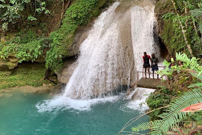 Dunn’s River Falls & Blue Hole Tour with Lunch - Why the guides matter here