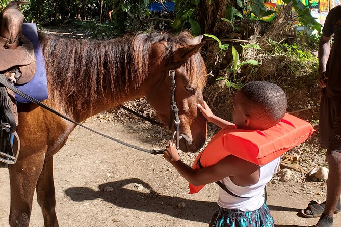 Dunn's River Falls Climb, Zipline and Horseback Riding Private Tour - Why the private vehicle and guide matter