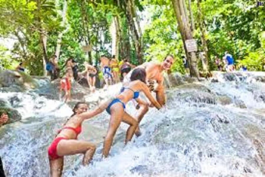 Dunn's River Falls Day Tour - What the guide can add to the experience