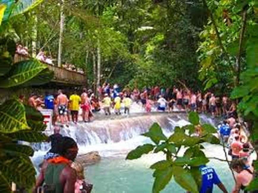 Dunn's River Falls Day Tour - Should you book Dunn’s River Falls Day Tour?