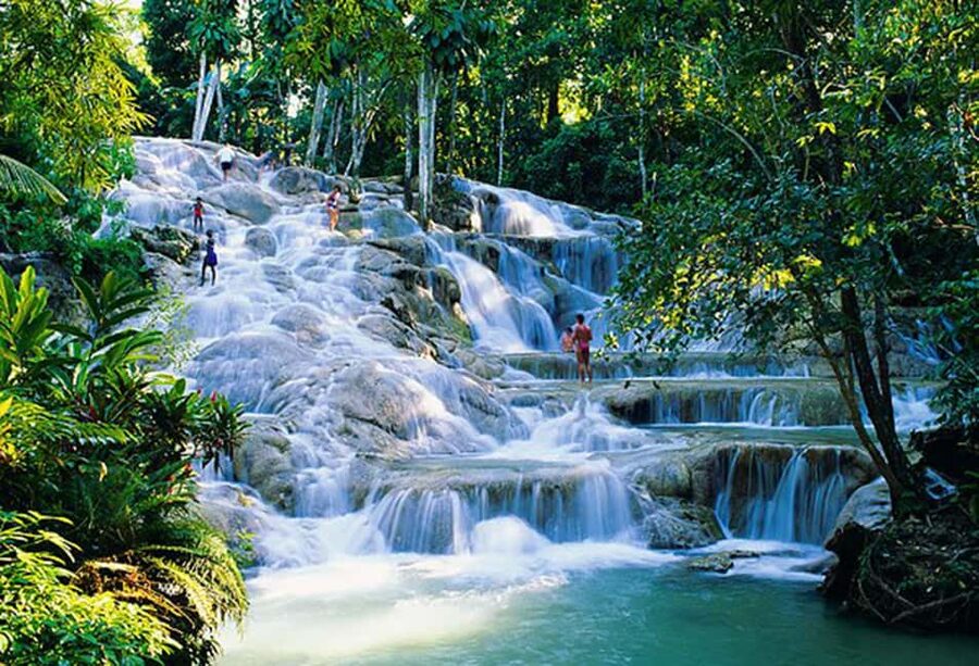 Dunn's River Falls Day Tour - Fern Gully brings a different side of Jamaica
