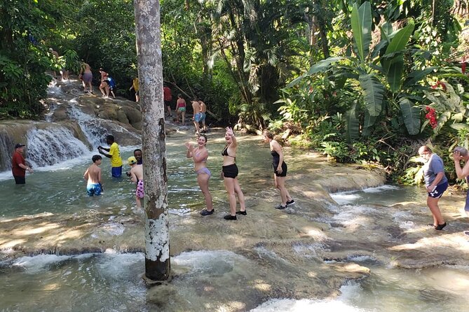 Dunn's River Falls Half Day Tour From Montego Bay - Who should choose this tour?