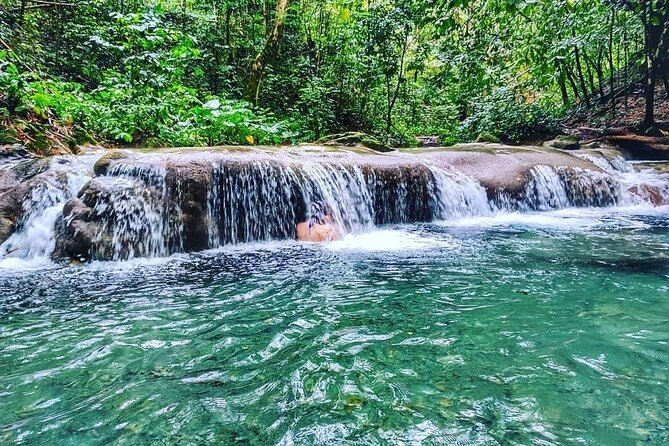 Dunn's River Falls & Luminous Lagoon Guided Tour from Montego Bay - Jerk lunch at Scotchies Drax Hall