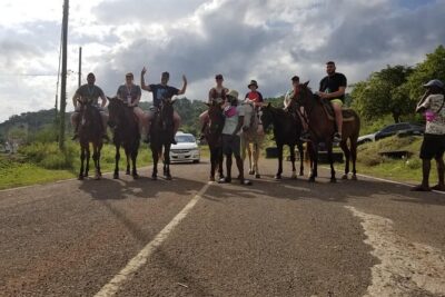 Dunn’s River Falls, River Tubing, and Horseback Riding With Transportation