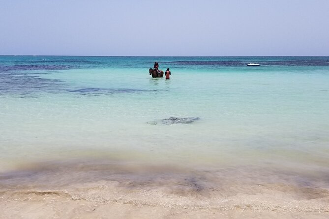 Dunn's River Falls, River Tubing, and Horseback Riding With Transportation - The real value of $265.98 per person