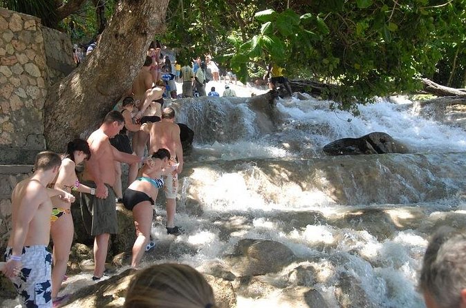 Dunn's River Falls Tour from Ocho Rios - Who will enjoy this half-day tour