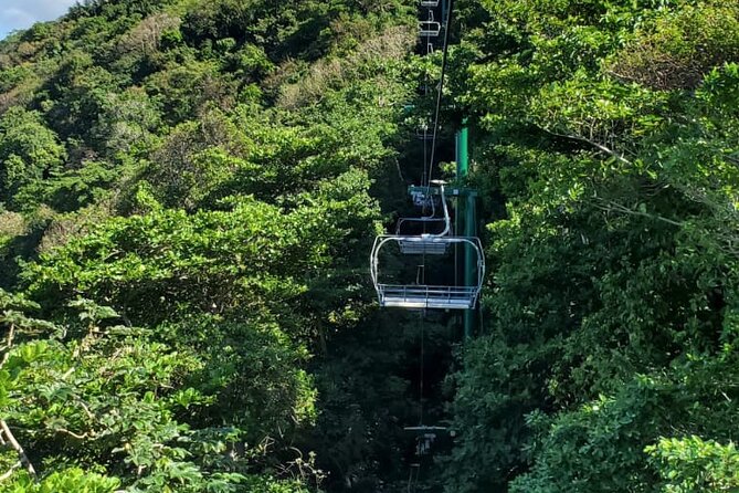 Dunn’s River Falls,Zip lining & horseback riding Combo tour from Montego Bay - Is $300 per person a fair price?